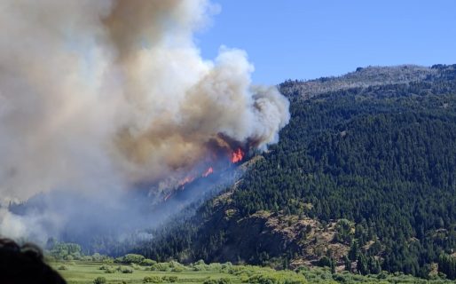 La Resistencia Ancestral Mapuche se adjudicó el incendio en El Hoyo