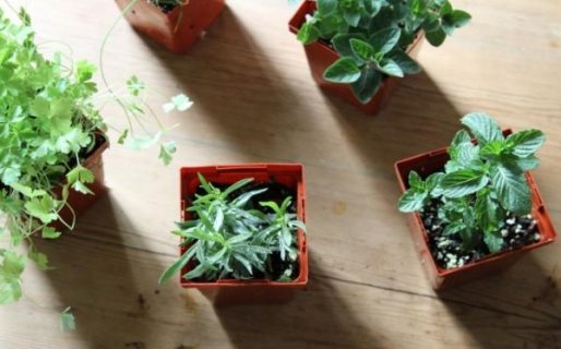 Su esposo tiene cáncer y pide ayuda a la comunidad para poder costear el tratamiento médico