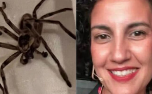 Se fue de vacaciones, durmió junto a una araña gigante y el desenlace fue viral: «Ojotazo»
