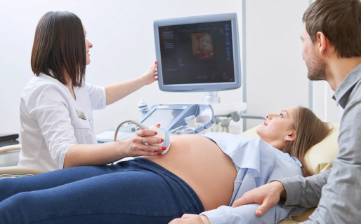 Mujeres rusas vuelan a la Argentina para dar a luz a sus hijos y conseguir la doble nacionalidad