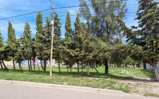 Vecinos del barrio Pueyrredón juntan firmas para salvaguardar un espacio verde