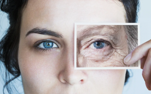 Un grupo de científicos descubrió cómo reducir el envejecimiento en ratones