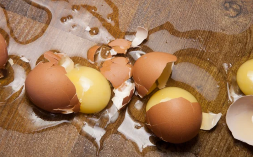 Mató a su hermana porque su perro le rompió un maple de huevos