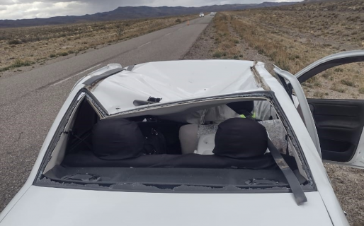 Una familia volcó intentando esquivar a unas ovejas que se cruzaron por la ruta