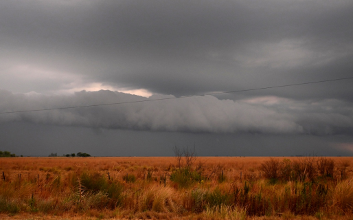 Corrientes, Entre Ríos y Neuquén registran incendios forestales activos
