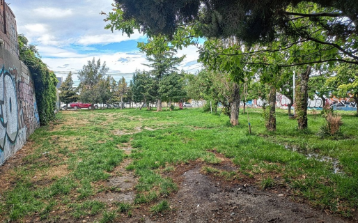 Vecinos del barrio Pueyrredón reúnen firmas para evitar que les saquen un espacio verde