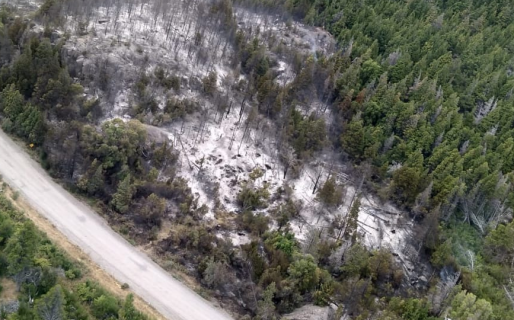 Provincia desplegó un operativo para intentar controlar el fuego en «Los Cipreses»