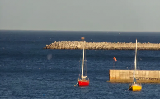 Una ballena visitó la costanera de Comodoro y fue fotografiada