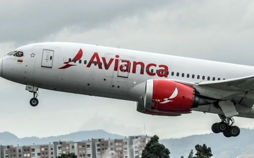 Encontraron dos cadáveres que estaban ocultos en un avión