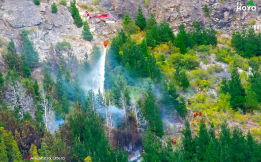 El incendio forestal en la zona de El Pedregoso fue detenido