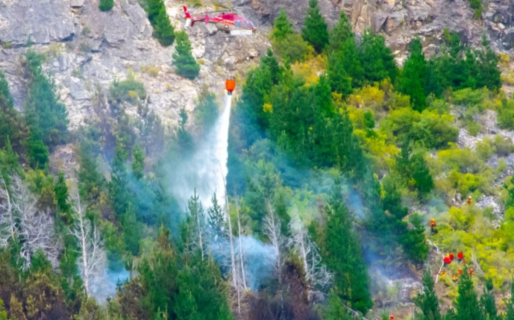 El incendio en El Pedregoso se encuentra detenido