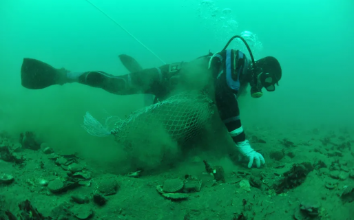 Playa Larralde, el rincón patagónico de insospechada belleza donde viven 15 habitantes