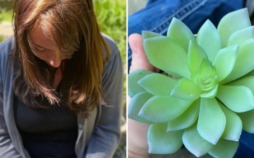 Increíble reacción de una joven que regó una planta de plástico por dos años sin darse cuenta: “Viví una mentira”