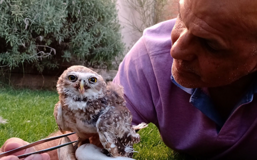 Víctor Fratto, el educador ambiental chubutense que enseña “a lo bestia” en Tik Tok