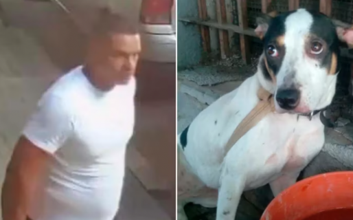 Sacó a pasear a su perra, la ató a una reja, la abandonó y el video se difundió por redes sociales