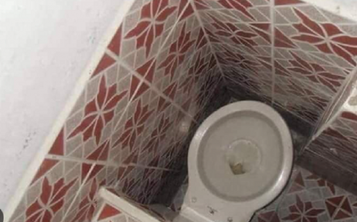 Insólito: Una mujer descubrió el inodoro que le habían robado, en el baño de su vecino