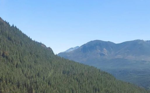 Brigadistas contuvieron el incendio en la zona de Epuyén