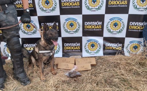 Desarticulan una banda narco que operaba en Comodoro