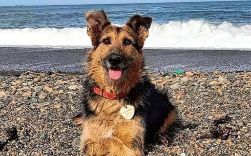 Este sábado se realizará una concentración en pedido de justicia por “Barbi”