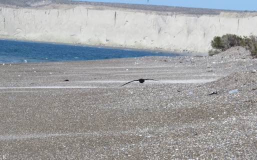 “Un gigante dormido”: El rostro que apareció en un barranco comodorense asustó hasta al más incrédulo