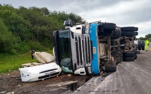 Un camión volcó con 23.000 kilos de carne y la gente que pasaba se llevó todo