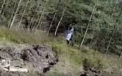 Creen haber visto a una supuesta nena fantasma “de ojos negros” y expertos aseguran que “es real”