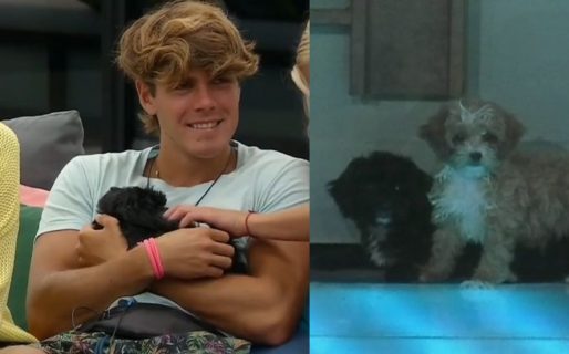 Gran Hermano 2022: los perritos de la casa ya mostraron su preferencia por Marcos