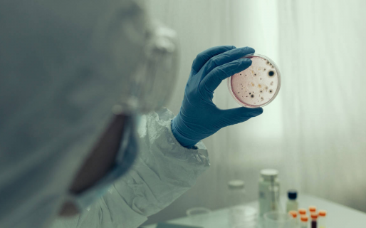 Virus de Marburgo: la OMS activa la alerta sanitaria por un nuevo brote