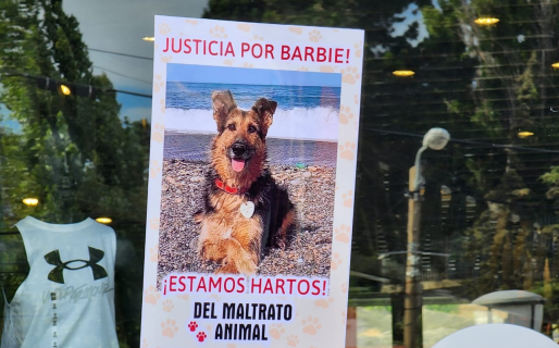 Manifestación en Km.3 en pedido de justicia por «Barbi», la perra asesinada cruelmente