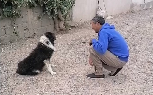 Encontró a su perro después de 3 años: “A un compañero no se lo abandona”