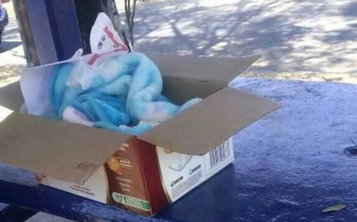 Una joven de 14 años parió en su casa y arrojó al bebé por la ventana del baño