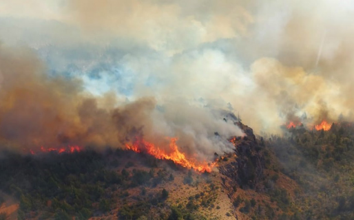 Contienen el incendio en cercanías del Parque Nacional “Los Alerces”