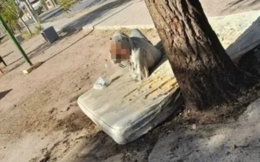 «Se masturba a cualquier hora»: el drama en una plaza