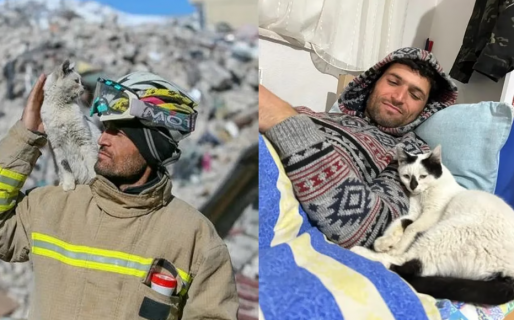 Rescató a una gatita de abajo de los escombros tras un sismo y su historia conmovió al mundo entero