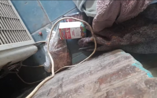 Un hombre golpeó a su hijastra de 5 años y la obligó a ingerir drogas y comida para perro