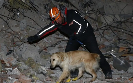 El perrito de cuatro años que pese a estar herido, logró salvarle la vida a cinco personas