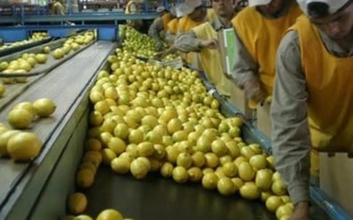 Alertan que la mayoría de las economías regionales están en crisis por la sequía y los altos costos