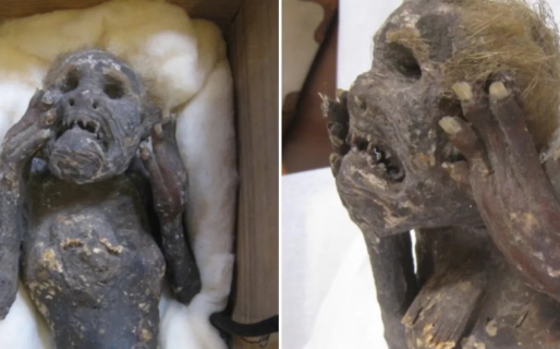 Revelaron el misterioso hallazgo de una sirena momificada hace más de tres siglos