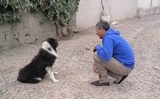 Un trabajador rural chubutense pasó tres años buscando a su perro y lo encontró