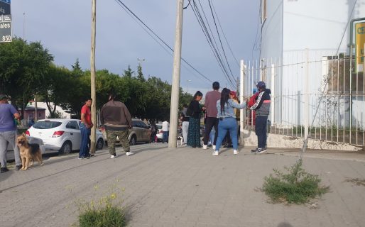 Una rescatista denunció que el Tráiler de Castración se negó a esterilizar gatos por «supuesta falta de turnos»