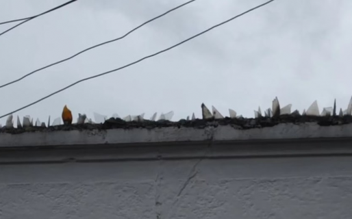 Quiso ingresar a una casa, se lastimó con los vidrios de la pared y murió