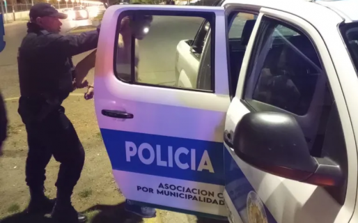 Un delincuente le robó el celular a una mujer y un testigo la defendió a los golpes