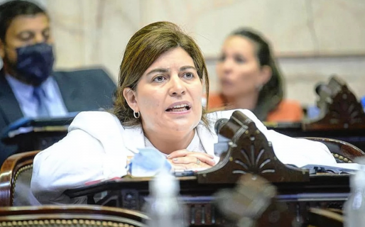 Romero: “Luque está pidiendo que adelanten las elecciones, cuando el 2019 estaba contento de compartir boleta con Fernández”