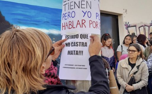 Vecinos de km. 3 están preocupados por los casos de maltrato animal