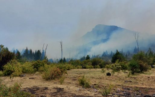 Continúa el despliegue de recursos para controlar incendio en cercanías de Epuyén