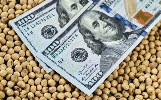 El Gobierno prepara un nuevo «Dólar soja» en medio de la crisis por las reservas