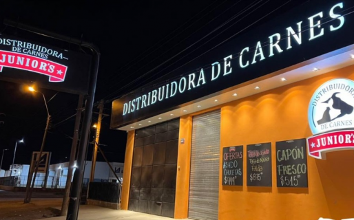 La Banda de la Toro Blanca: una «Pyme» de delincuentes de Trelew que se escabulle de la ley