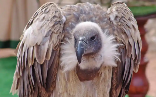 “La piba sabía que era mi novio”: una “amiga” le respondió su historia en Instagram con un polémico mensaje