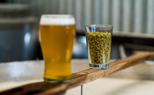 Se realizó con éxito el primer Festival de la Cerveza Artesanal Comodorense