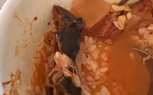 Encontraron una rata en su sopa, parecía ser un vegetal, pero era la cola del animal